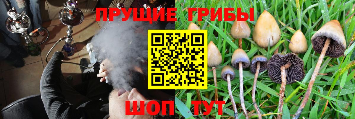 Чебоксары  Галлюциногенные грибы MAGIC MUSHROOMS  Вход с VPN 